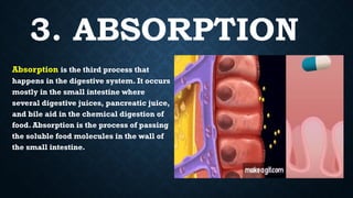The Human Body System: The Digestive System | PPTX