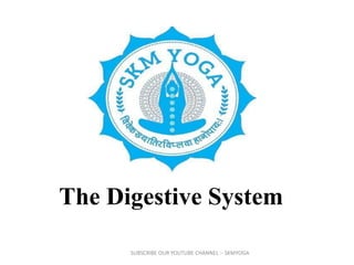 The Digestive System
SUBSCRIBE OUR YOUTUBE CHANNEL :- SKMYOGA
 