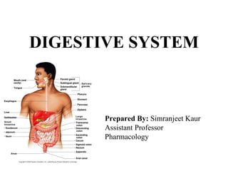DIGESTIVE SYSTEM
Prepared By: Simranjeet Kaur
Assistant Professor
Pharmacology
 