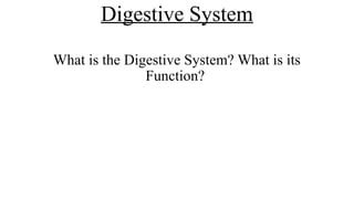 Powerpoint presentation about the digestive system | PPTX