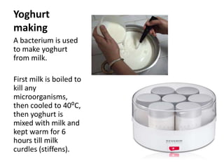 Yoghurt
making
A bacterium is used
to make yoghurt
from milk.
First milk is boiled to
kill any
microorganisms,
then cooled to 40⁰C,
then yoghurt is
mixed with milk and
kept warm for 6
hours till milk
curdles (stiffens).
 
