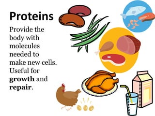 Proteins
Provide the
body with
molecules
needed to
make new cells.
Useful for
growth and
repair.
 