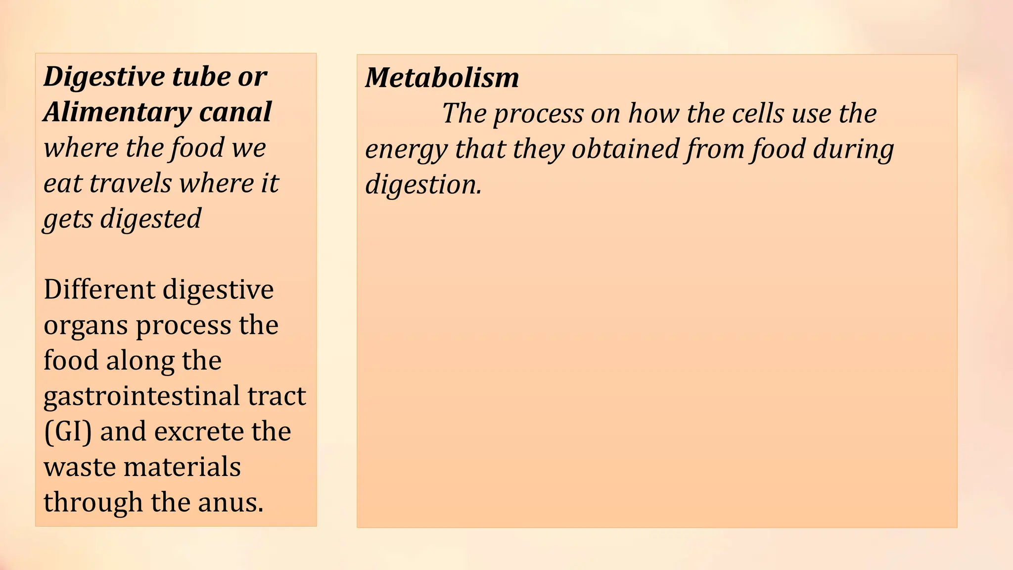 Digestive System, lecture powerpoint Grade 8.pptx