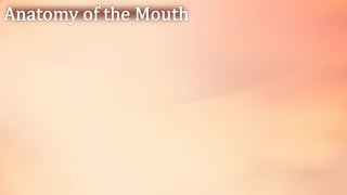 Digestive System, lecture powerpoint Grade 8.pptx