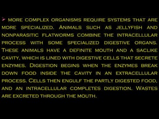 more complex organisms require systems that are more specialized. Animals such as jellyfish and nonparasitic flatworms combine the intracellular process with some specialized digestive organs. These animals have a definite mouth and a saclike cavity, which is lined with digestive cells that secrete enzymes. Digestion begins when the enzymes break down food inside the cavity in an extracellular process. Cells then engulf the partly digested food, and an intracellular completes digestion. Wastes are excreted through the mouth. 