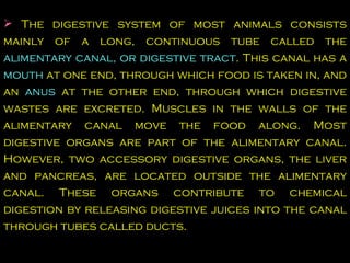 Digestive system ii