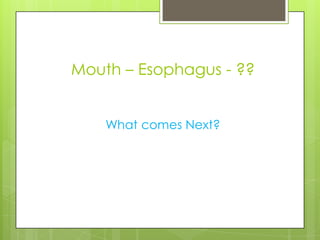 Mouth – Esophagus - ??


    What comes Next?
 