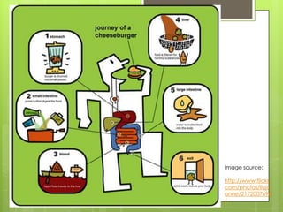 Image source:

http://www.flickr.
com/photos/liujo
anne/2172007698
/
 