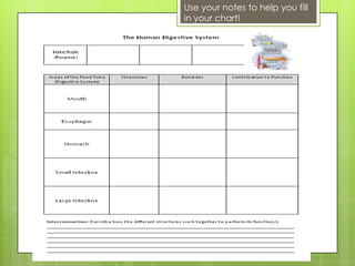 Use your notes to help you fill
in your chart!
 