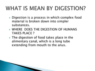 Digestive system in humans | PDF