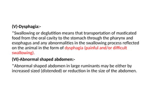 Digestive System in Large Ruminants.pptx