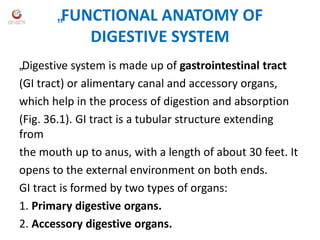 „FUNCTIONAL ANATOMY OF
DIGESTIVE SYSTEM
„Digestive system is made up of gastrointestinal tract
(GI tract) or alimentary canal and accessory organs,
which help in the process of digestion and absorption
(Fig. 36.1). GI tract is a tubular structure extending
from
the mouth up to anus, with a length of about 30 feet. It
opens to the external environment on both ends.
GI tract is formed by two types of organs:
1. Primary digestive organs.
2. Accessory digestive organs.
 