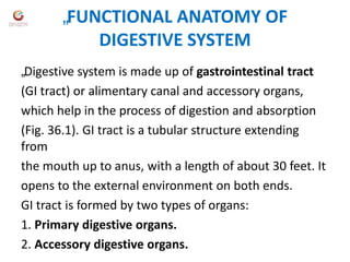 Digestive system introduction | PPT