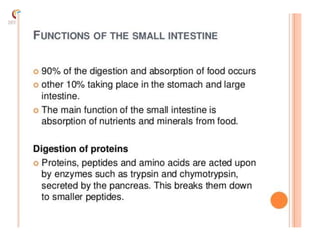 Digestive system introduction | PPTX
