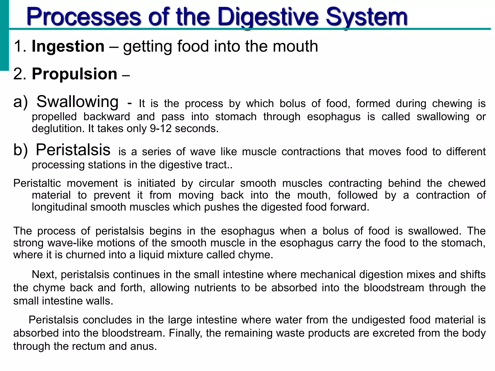 Processes of the Digestive System
1. Ingestion – getting food into the mouth
2. Propulsion –
a) Swallowing - It is the process by which bolus of food, formed during chewing is
propelled backward and pass into stomach through esophagus is called swallowing or
deglutition. It takes only 9-12 seconds.
b) Peristalsis is a series of wave like muscle contractions that moves food to different
processing stations in the digestive tract..
Peristaltic movement is initiated by circular smooth muscles contracting behind the chewed
material to prevent it from moving back into the mouth, followed by a contraction of
longitudinal smooth muscles which pushes the digested food forward.
The process of peristalsis begins in the esophagus when a bolus of food is swallowed. The
strong wave-like motions of the smooth muscle in the esophagus carry the food to the stomach,
where it is churned into a liquid mixture called chyme.
Next, peristalsis continues in the small intestine where mechanical digestion mixes and shifts
the chyme back and forth, allowing nutrients to be absorbed into the bloodstream through the
small intestine walls.
Peristalsis concludes in the large intestine where water from the undigested food material is
absorbed into the bloodstream. Finally, the remaining waste products are excreted from the body
through the rectum and anus.
 