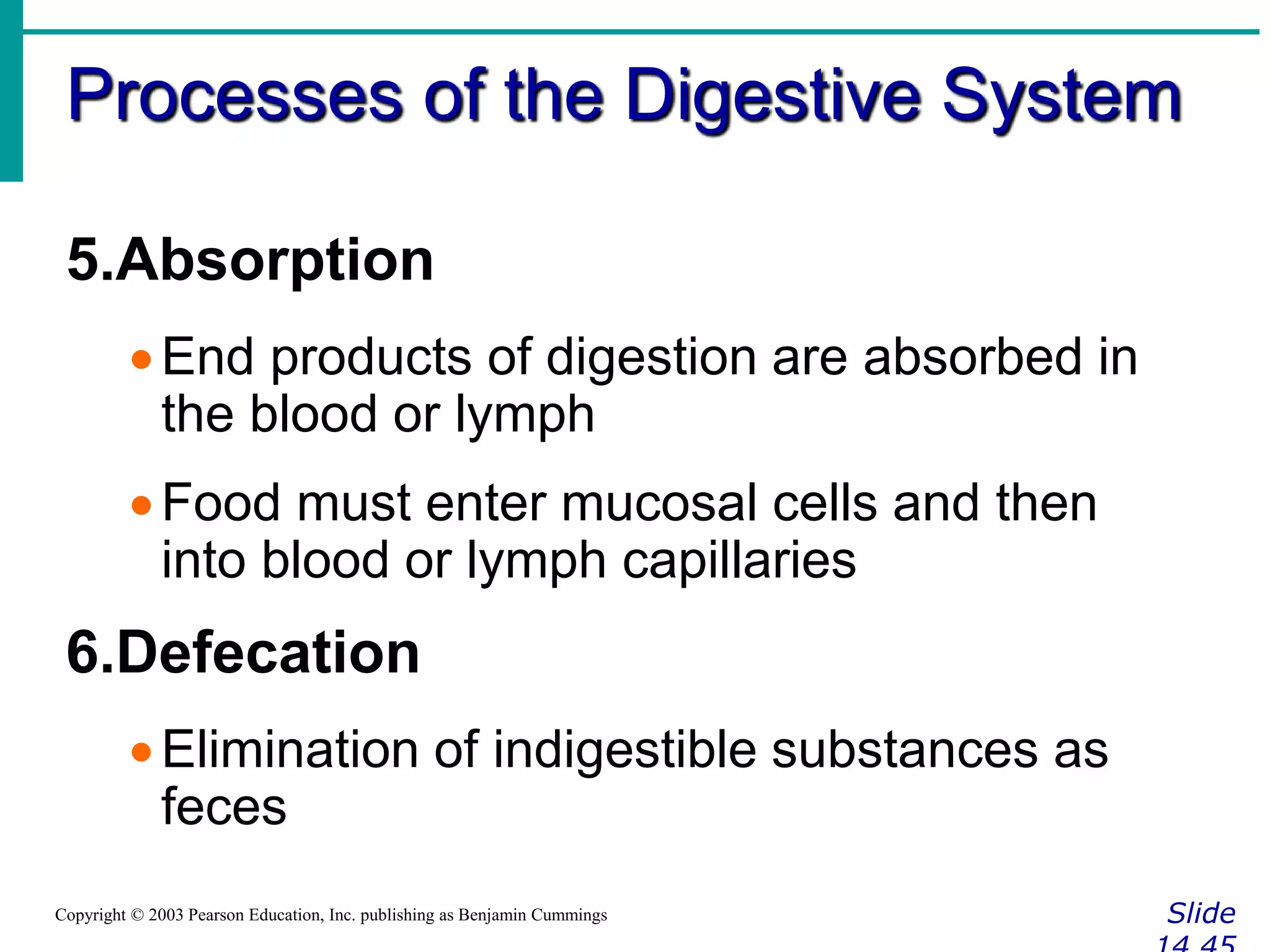 Processes of the Digestive System
SlideCopyright © 2003 Pearson Education, Inc. publishing as Benjamin Cummings
5.Absorption
End products of digestion are absorbed in
the blood or lymph
Food must enter mucosal cells and then
into blood or lymph capillaries
6.Defecation
Elimination of indigestible substances as
feces
 