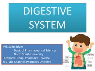 DIGESTIVE
SYSTEM
Md. Saiful Islam
Dept. of Pharmaceutical Sciences
North South University
Facebook Group: Pharmacy Universe
YouTube Channel: Pharmacy Universe
 