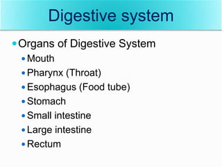 Organs of Digestive System
 Mouth
 Pharynx (Throat)
 Esophagus (Food tube)
 Stomach
 Small intestine
 Large intestine
 Rectum
Digestive system
 