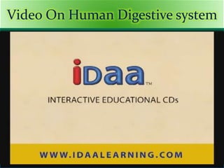 Video On Human Digestive system
 