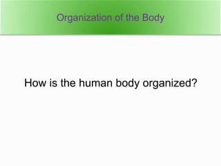 How is the human body organized?
Organization of the Body
 