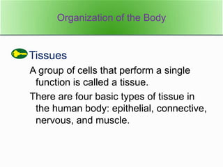 Tissues
A group of cells that perform a single
function is called a tissue.
There are four basic types of tissue in
the human body: epithelial, connective,
nervous, and muscle.
Organization of the BodyOrganization of the Body
 