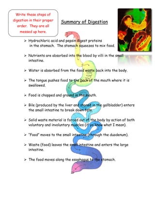 Summary of Digestion
 Hydrochloric acid and pepsin digest proteins
in the stomach. The stomach squeezes to mix food.
 Nutrients are absorbed into the blood by villi in the small
intestine.
 Water is absorbed from the food waste back into the body.
 The tongue pushes food to the back of the mouth where it is
swallowed.
 Food is chopped and ground in the mouth.
 Bile (produced by the liver and stored in the gallbladder) enters
the small intestine to break down fats.
 Solid waste material is forced out of the body by action of both
voluntary and involuntary muscles (if ya know what I mean).
 “Food” moves to the small intestine (through the duodenum).
 Waste (food) leaves the small intestine and enters the large
intestine.
 The food moves along the esophagus to the stomach.
Write these steps of
digestion in their proper
order. They are all
messed up here.
 
