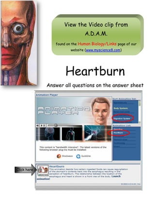 View the Video clip from
A.D.A.M.
found on the Human Biology/Links page of our
website (www.myscience8.com)
Heartburn
Answer all questions on the answer sheet
Click here
 