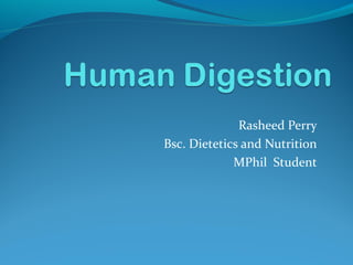 Rasheed Perry
Bsc. Dietetics and Nutrition
MPhil Student
 