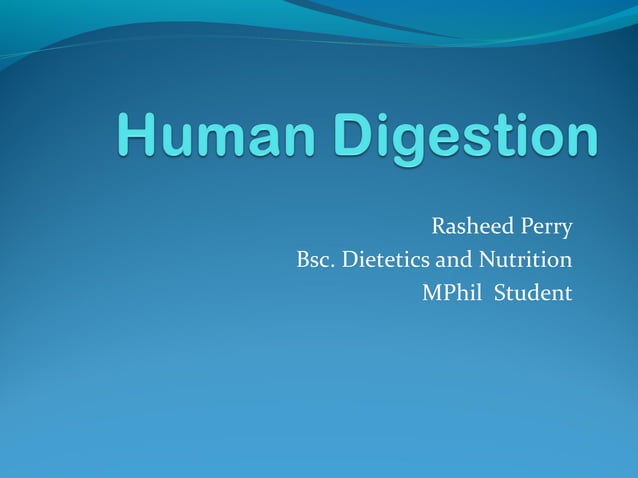 Digestive System Lecture Ppt