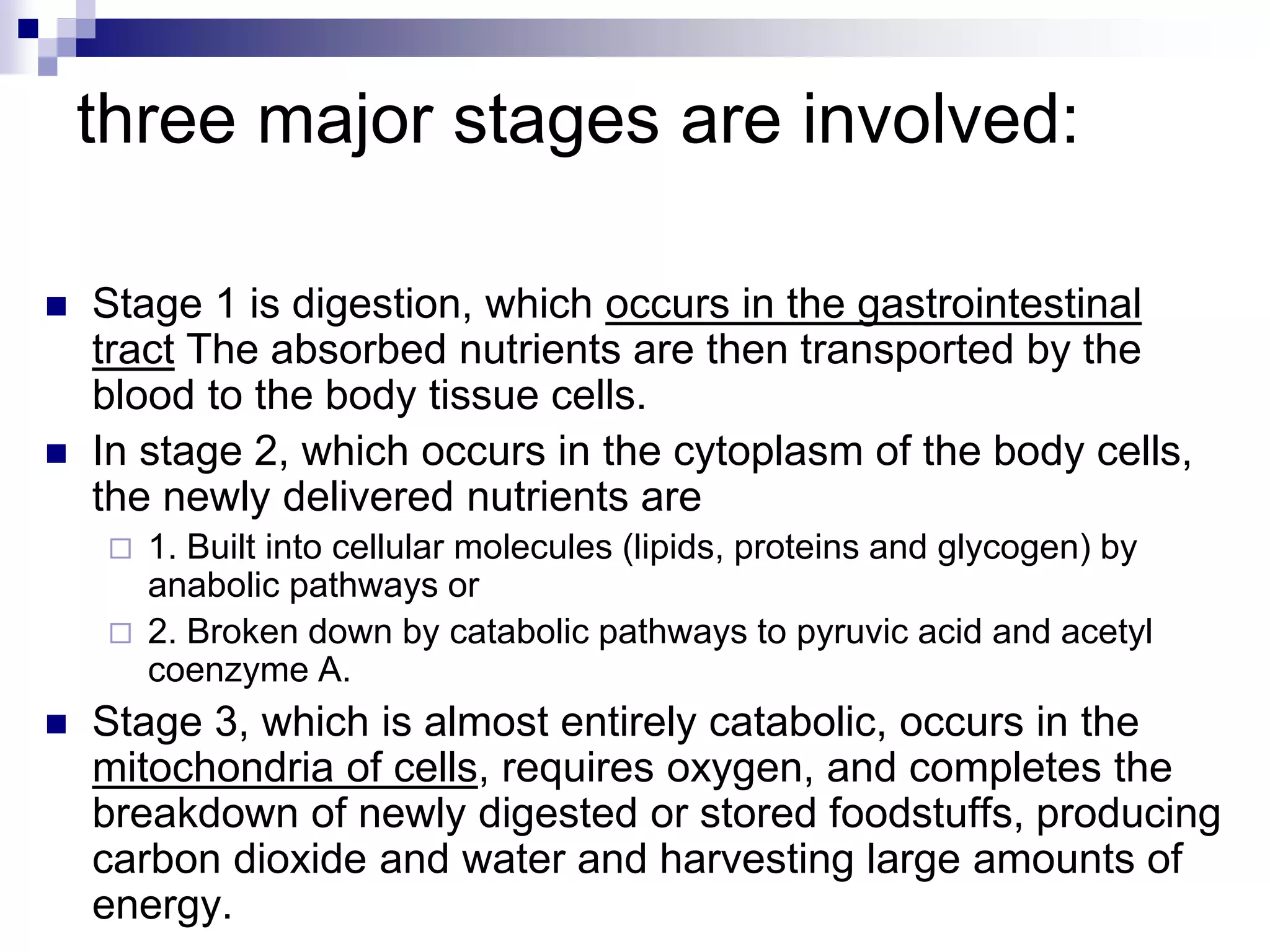 three major stages are involved:
 Stage 1 is digestion, which occurs in the gastrointestinal
tract The absorbed nutrients are then transported by the
blood to the body tissue cells.
 In stage 2, which occurs in the cytoplasm of the body cells,
the newly delivered nutrients are
 1. Built into cellular molecules (lipids, proteins and glycogen) by
anabolic pathways or
 2. Broken down by catabolic pathways to pyruvic acid and acetyl
coenzyme A.
 Stage 3, which is almost entirely catabolic, occurs in the
mitochondria of cells, requires oxygen, and completes the
breakdown of newly digested or stored foodstuffs, producing
carbon dioxide and water and harvesting large amounts of
energy.
 