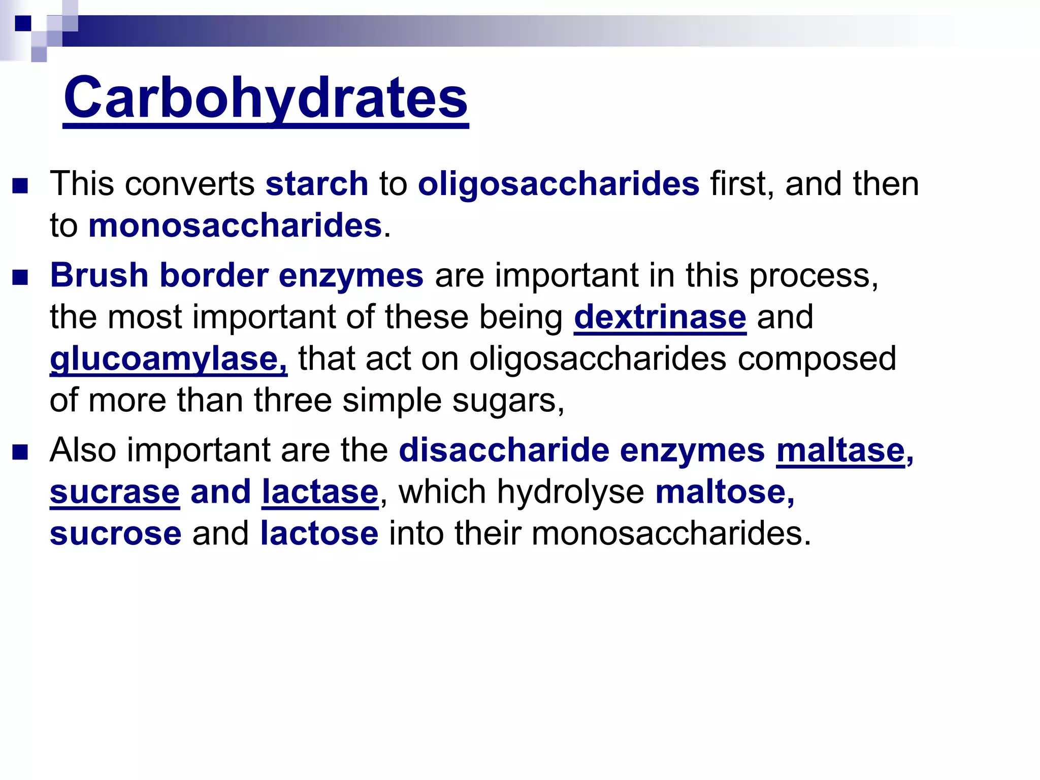 Carbohydrates
 This converts starch to oligosaccharides first, and then
to monosaccharides.
 Brush border enzymes are important in this process,
the most important of these being dextrinase and
glucoamylase, that act on oligosaccharides composed
of more than three simple sugars,
 Also important are the disaccharide enzymes maltase,
sucrase and lactase, which hydrolyse maltose,
sucrose and lactose into their monosaccharides.
 