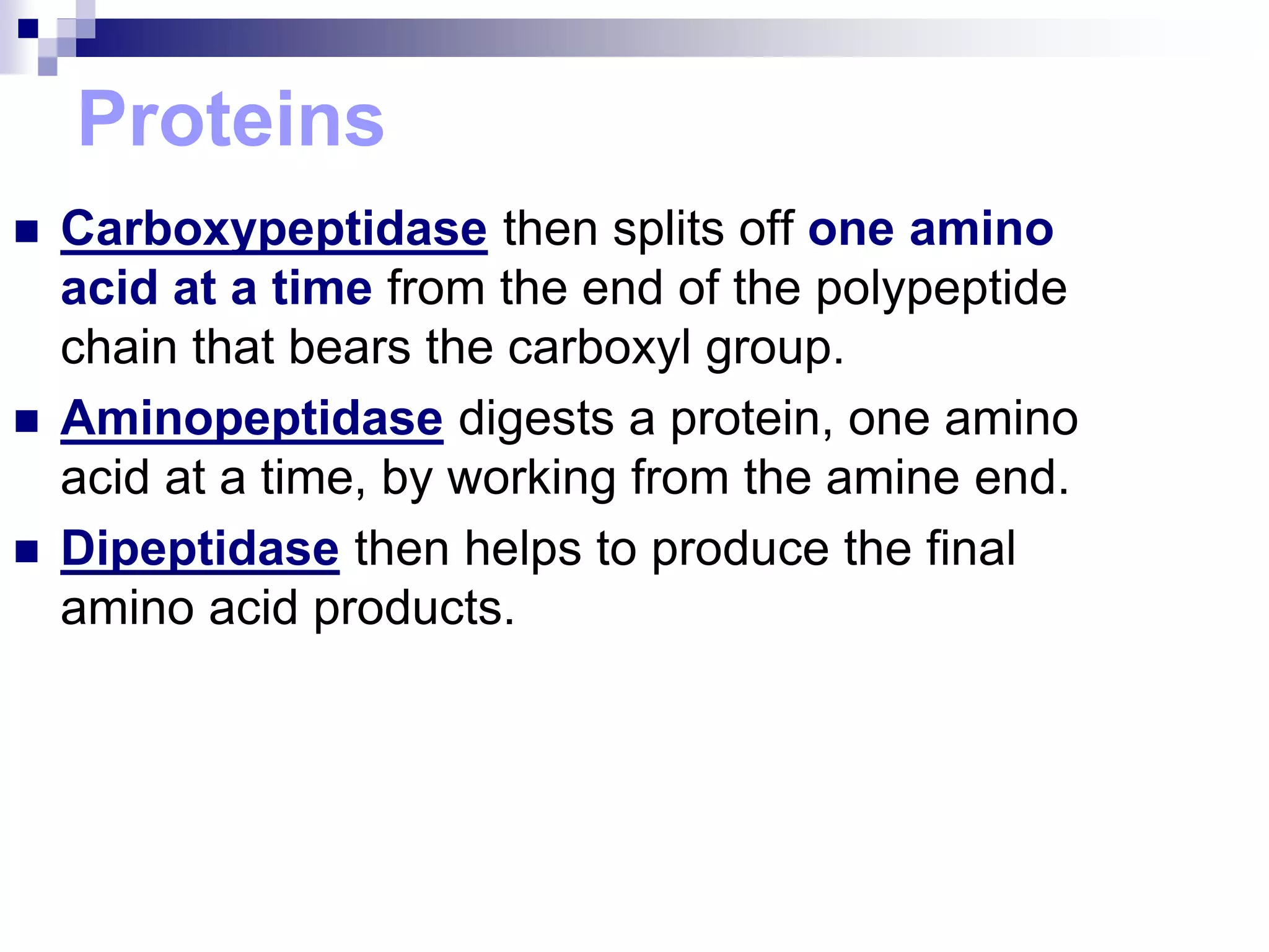 Proteins
 Carboxypeptidase then splits off one amino
acid at a time from the end of the polypeptide
chain that bears the carboxyl group.
 Aminopeptidase digests a protein, one amino
acid at a time, by working from the amine end.
 Dipeptidase then helps to produce the final
amino acid products.
 