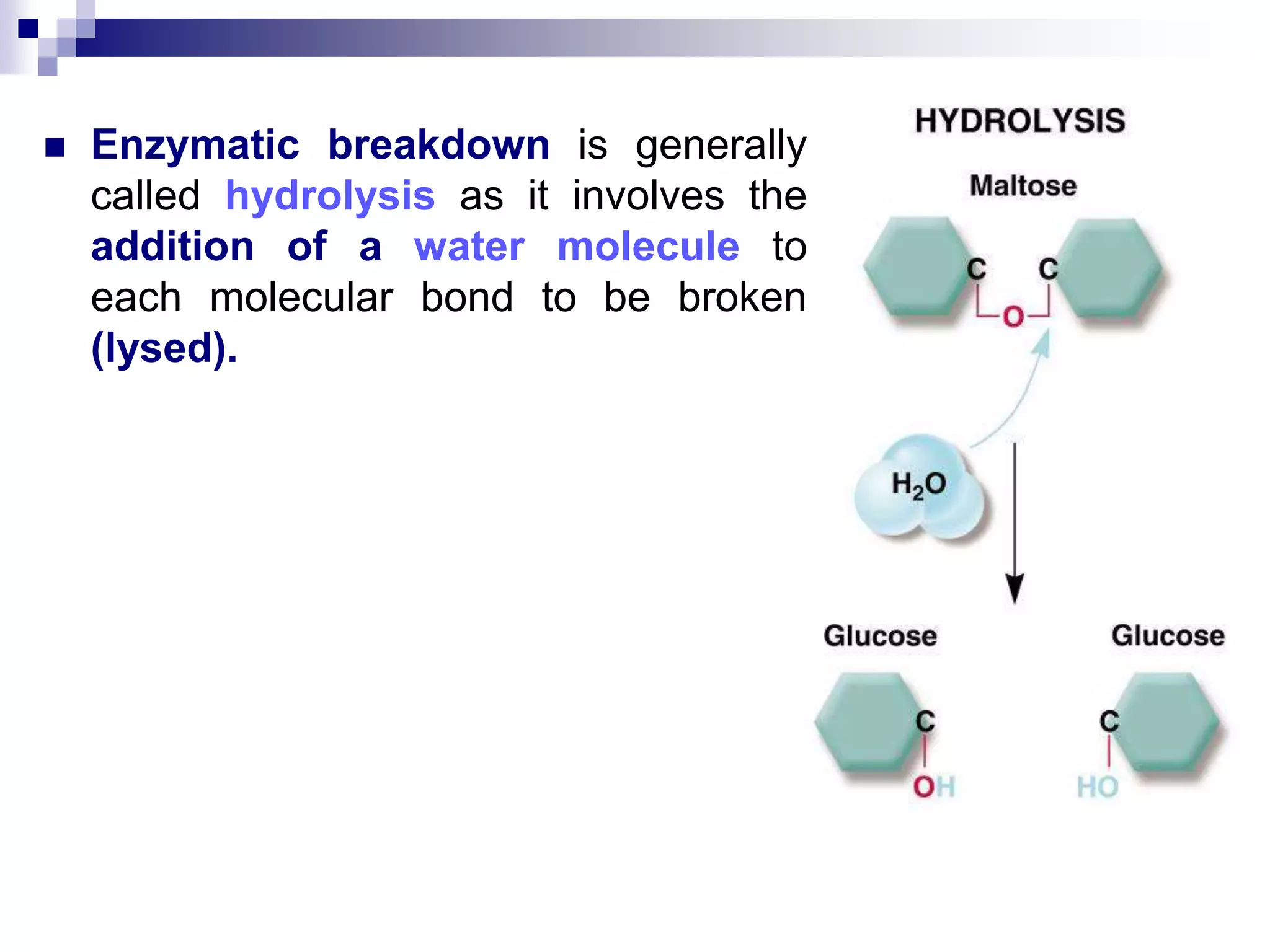  Enzymatic breakdown is generally
called hydrolysis as it involves the
addition of a water molecule to
each molecular bond to be broken
(lysed).
 
