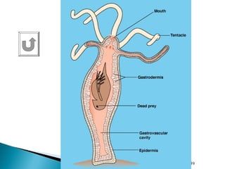 02/05/18 17:39cottingham
 