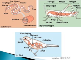 02/05/18 17:39cottingham
 