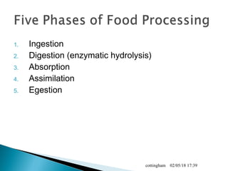 1. Ingestion
2. Digestion (enzymatic hydrolysis)
3. Absorption
4. Assimilation
5. Egestion
02/05/18 17:39cottingham
 