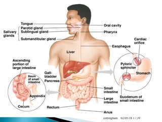 02/05/18 17:39cottingham
 
