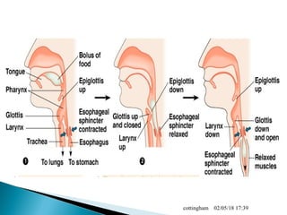 02/05/18 17:39cottingham
 