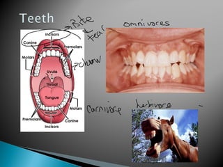 02/05/18 17:39cottingham
 