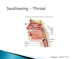 02/05/18 17:39cottingham
 
