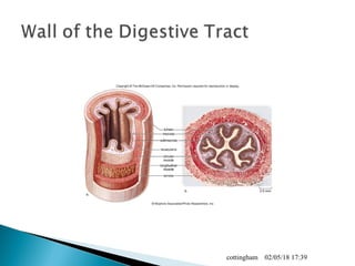 02/05/18 17:39cottingham
 
