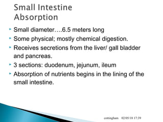  Small diameter….6.5 meters long
 Some physical; mostly chemical digestion.
 Receives secretions from the liver/ gall bladder
and pancreas.
 3 sections: duodenum, jejunum, ileum
 Absorption of nutrients begins in the lining of the
small intestine.
02/05/18 17:39cottingham
 