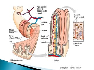 02/05/18 17:39cottingham
 