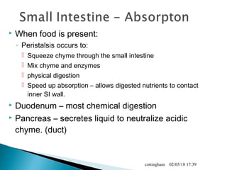  When food is present:
◦ Peristalsis occurs to:
 Squeeze chyme through the small intestine
 Mix chyme and enzymes
 physical digestion
 Speed up absorption – allows digested nutrients to contact
inner SI wall.
 Duodenum – most chemical digestion
 Pancreas – secretes liquid to neutralize acidic
chyme. (duct)
02/05/18 17:39cottingham
 