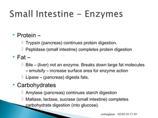  Protein –
 Trypsin (pancreas) continues protein digestion.
 Peptidase (small intestine) completes protein digestion
 Fat –
 Bile – (liver) not an enzyme. Breaks down large fat molecules
– emulsify – increase surface area for enzyme action
 Lipase – (pancreas) digests fats.
 Carbohydrates
 Amylase (pancreas) continues starch digestion
 Maltase, lactase, sucrase (small intestine) completes
carbohydrate digestion (into glucose).
02/05/18 17:39cottingham
 