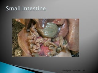 02/05/18 17:39cottingham
 