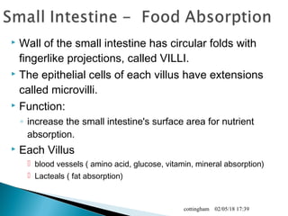  Wall of the small intestine has circular folds with
fingerlike projections, called VILLI.
 The epithelial cells of each villus have extensions
called microvilli.
 Function:
◦ increase the small intestine's surface area for nutrient
absorption.
 Each Villus
 blood vessels ( amino acid, glucose, vitamin, mineral absorption)
 Lacteals ( fat absorption)
02/05/18 17:39cottingham
 