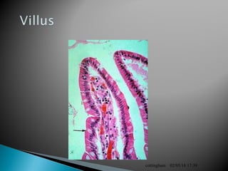 02/05/18 17:39cottingham
 