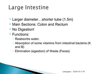  Larger diameter…shorter tube (1.5m)
 Main Sections: Colon and Rectum
 No Digestion!
 Functions:
◦ Reabsorbs water.
◦ Absorption of some vitamins from intestinal bacteria (K
and B)
◦ Elimination (egestion) of Waste (Feces)
02/05/18 17:39cottingham
 