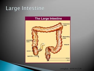 02/05/18 17:39cottingham
 